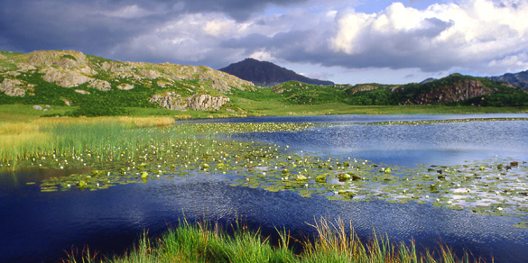 Eel Tarn in Eskdale, the Lake District