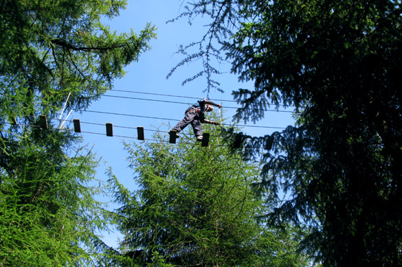 Go Ape at Whinlatter Forest in the Lake District